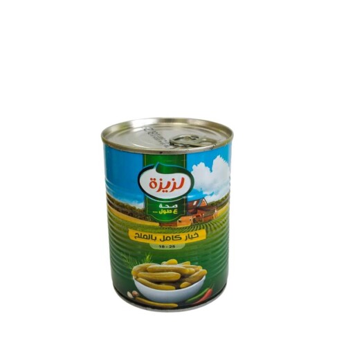 خيار لزيزة 18-25 ملح دزينة 12/1