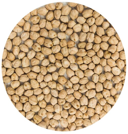 حمص حب روسي 8 مل شوال 25/1