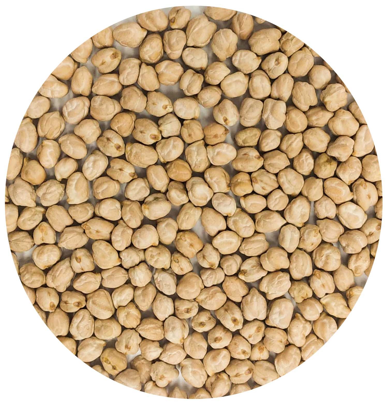 حمص حب روسي 8 مل شوال 25/1